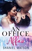 An Office Affair (The Office Affair, #1) (eBook, ePUB)
