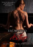 Escapando ao meu destino (eBook, ePUB)