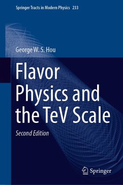 Cover Flavor Physics and the TeV Scale (eBook, PDF)