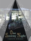 One Stormy Night (eBook, ePUB)