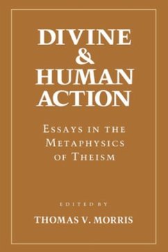 Cover Divine and Human Action (eBook, PDF)