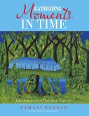 Gathering Moments in Time (eBook, ePUB)