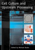 Cell Culture and Upstream Processing (eBook, PDF)