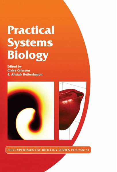 Practical Systems Biology (eBook, PDF)