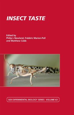 Insect Taste (eBook, PDF)
