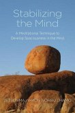 Stabilizing the Mind (eBook, ePUB)