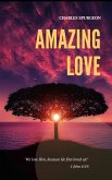 Amazing Love (eBook, ePUB)