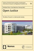 Open Justice (eBook, PDF)