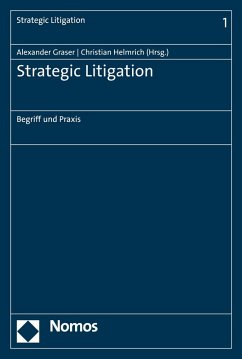 Strategic Litigation (eBook, PDF)