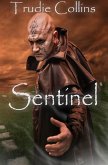 Sentinel (eBook, ePUB)