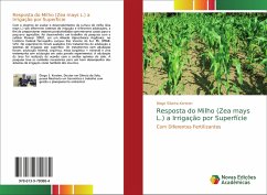Resposta do Milho (Zea mays L.) a Irrigação por Superfície
