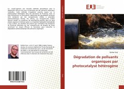 Dégradation de polluants organiques par photocatalysé hétérogène - Fessi, Nidhal