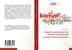 Analyse économique des mesures françaises de soutien aux biocarburants