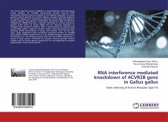 RNA interference mediated knockdown of ACVR2B gene in Gallus gallus