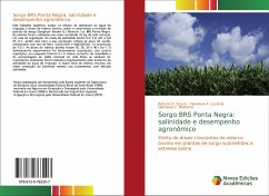 Sorgo BRS Ponta Negra: salinidade e desempenho agronômico