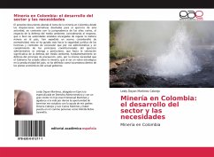 Minería en Colombia: el desarrollo del sector y las necesidades