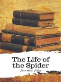 The Life of the Spider (eBook, ePUB)