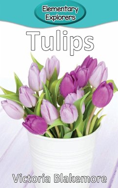 Tulips - Blakemore, Victoria