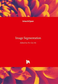 Image Segmentation