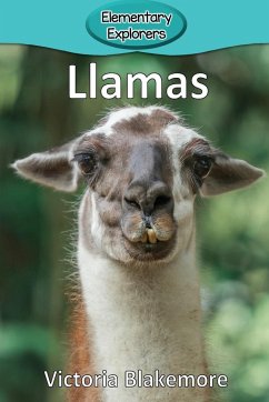 Llamas - Blakemore, Victoria