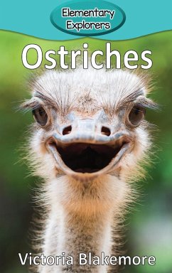 Ostriches - Blakemore, Victoria