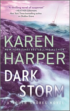 Cover Dark Storm (eBook, ePUB)