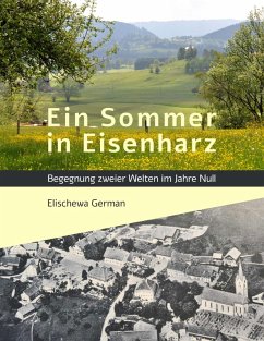 Ein Sommer in Eisenharz (eBook, ePUB)