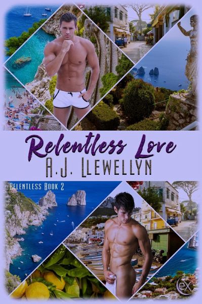 Relentless Love (eBook, ePUB)