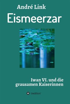 Eismeerzar (eBook, ePUB) - Link, André