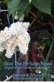 How The Perfume Blows (Right Under The Bear's Nose) (eBook, ePUB)