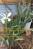 Collated Dockets ~ Spring Jumps Sockets (We're In Summer's Pockets) (eBook, ePUB) Collated Dockets ~ Spring Jumps Sockets (We're In Summer's Pockets) (eBook, ePUB)