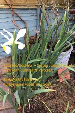Collated Dockets ~ Spring Jumps Sockets (We're In Summer's Pockets) (eBook, ePUB) - Schwarz, Barbara M