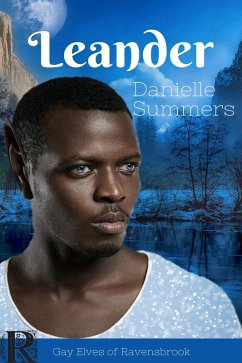 Cover Leander (eBook, ePUB)