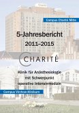 Charité 5-Jahresbericht - 2011-2015 (eBook, PDF)