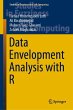 Data Envelopment Analysis with R - Bild 1