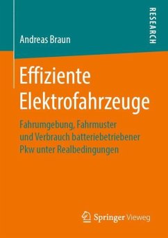 Effiziente Elektrofahrzeuge - Braun, Andreas