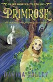 Primrose (eBook, ePUB)