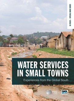 Cover Water Services in Small Towns (eBook, PDF)