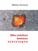 Efter mörkret kommer njutningen (eBook, ePUB) Efter mörkret kommer njutningen (eBook, ePUB)