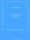 Pérégrinations d'une Paria Tome 2 (eBook, ePUB)