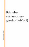 Betriebsverfassungsgesetz (BetrVG) (eBook, ePUB)
