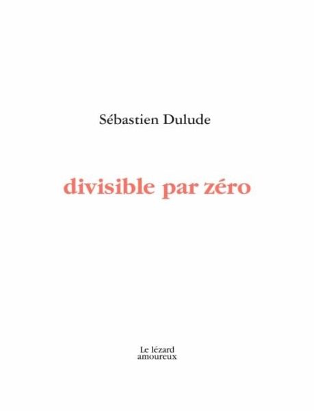 Divisible par zero (eBook, PDF)