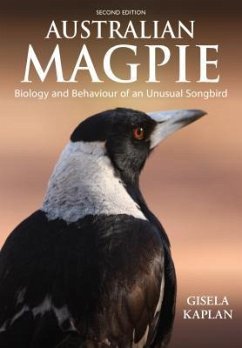 Australian Magpie - Kaplan, Gisela