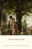 Seventeen (eBook, ePUB)