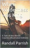 When Wilderness was King / A Tale of the Illinois Country (eBook, PDF)