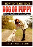 How to Train Your Dog or Puppy