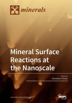 Cover Mineral Surface Reactions at the Nanoscale