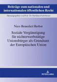 Soziale Verguenstigung fuer nichterwerbstaetige Unionsbuerger als Grundsatz der Europaeischen Union (eBook, ePUB)