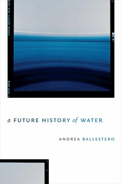 Future History of Water (eBook, PDF) - Andrea Ballestero, Ballestero