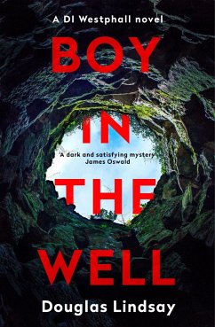 Boy in the Well (eBook, ePUB) - Lindsay, Douglas